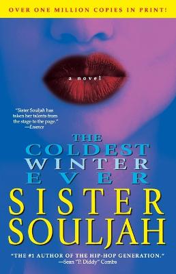 Book cover for The Coldest Winter Ever