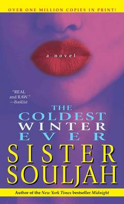 Book cover for The Coldest Winter Ever