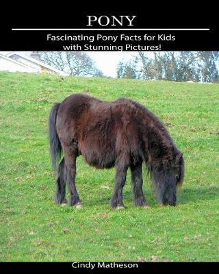 Book cover for Pony