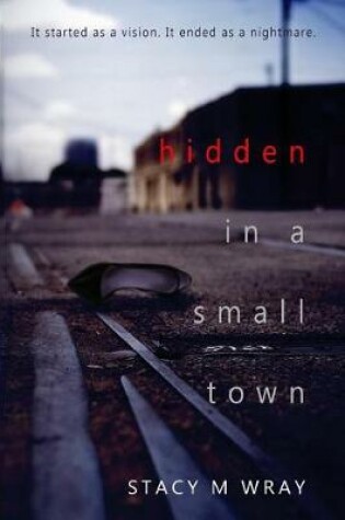 Cover of Hidden in a Small Town