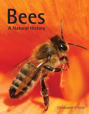 Book cover for Bees: A Natural History