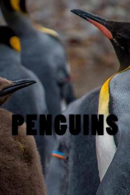 Book cover for Penguins