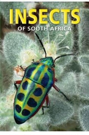 Cover of Pocket Guide to Insects of South Africa