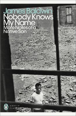 Book cover for Nobody Knows My Name