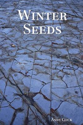 Book cover for Winter Seeds
