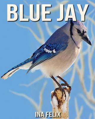 Book cover for Blue Jay