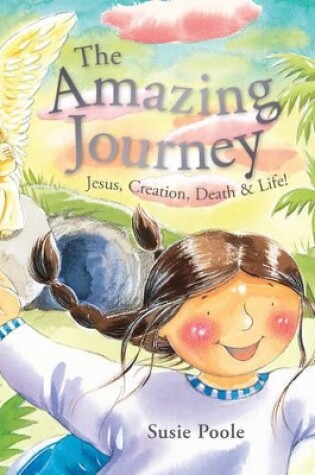 Cover of Amazing Journey, The
