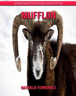 Book cover for Mufflon