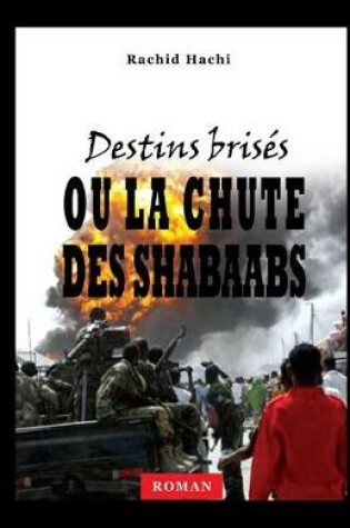 Cover of Destins Brises