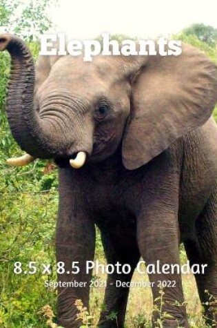 Cover of Elephants 8.5 X 8.5 Calendar September 2021 -December 2022