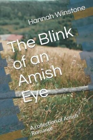 Cover of The Blink of an Amish Eye