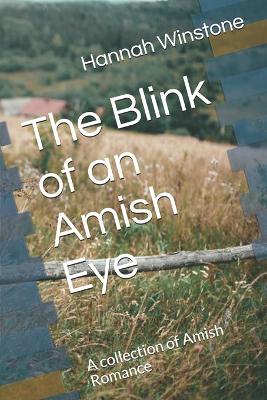 Book cover for The Blink of an Amish Eye