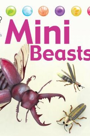 Cover of Nora the Naturalist's Animals: Minibeasts