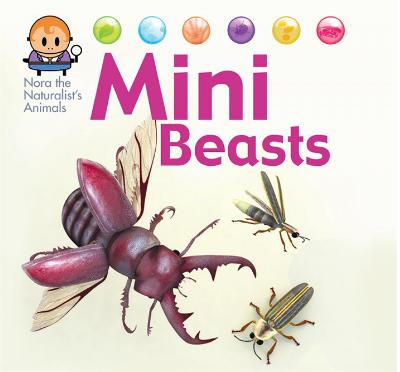Book cover for Nora the Naturalist's Animals: Minibeasts
