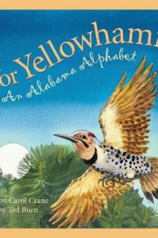 Cover of Y Is for Yellowhammer