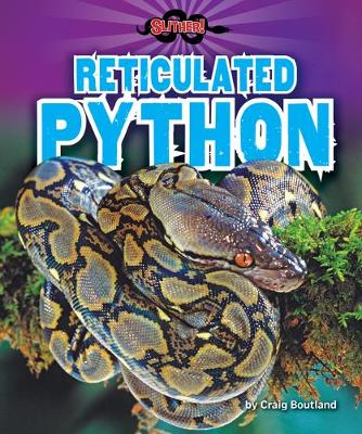 Book cover for Reticulated Python