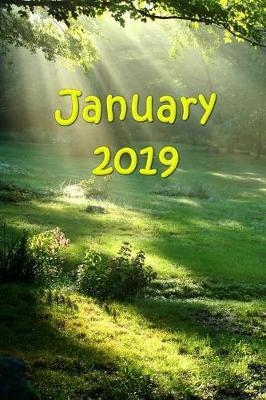 Book cover for January 2019 Monthly Planner Heavenly Light Sun Rays