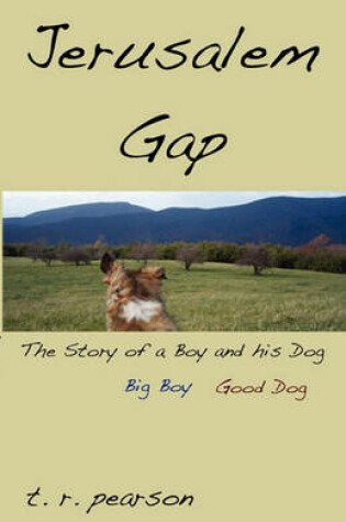 Cover of Jerusalem Gap