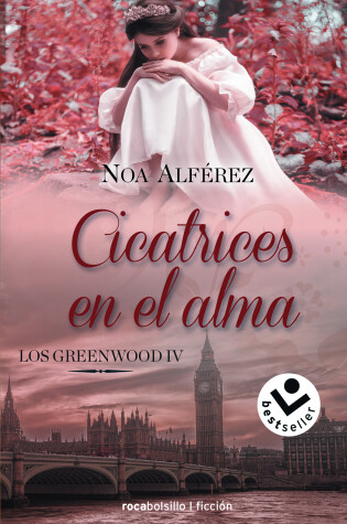 Cover of Cicatrices en el alma / Scars of the Soul