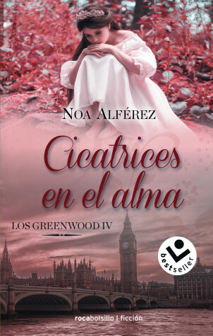 Book cover for Cicatrices en el alma / Scars of the Soul