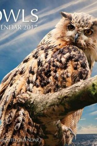 Cover of Owls Calendar 2017