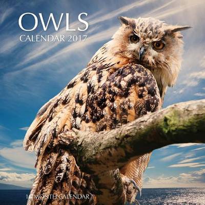 Book cover for Owls Calendar 2017