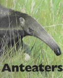 Cover of Anteaters