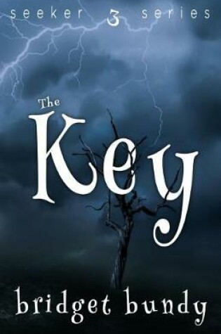 Cover of The Key