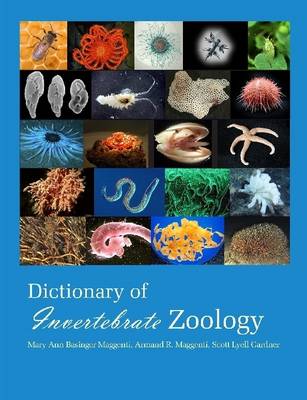 Book cover for Dictionary of Invertebrate Zoology