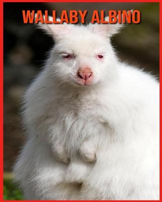 Book cover for Wallaby Albino