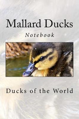 Book cover for Mallard Ducks