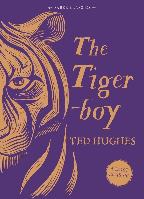 Book cover for The Tigerboy