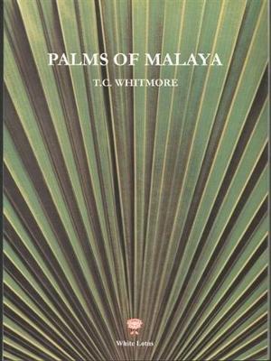 Book cover for Palms of Malaya