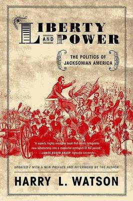 Book cover for Liberty and Power