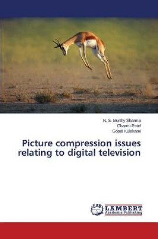 Cover of Picture compression issues relating to digital television