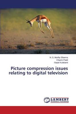 Book cover for Picture compression issues relating to digital television