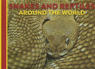 Book cover for Snakes and Reptiles Around the World