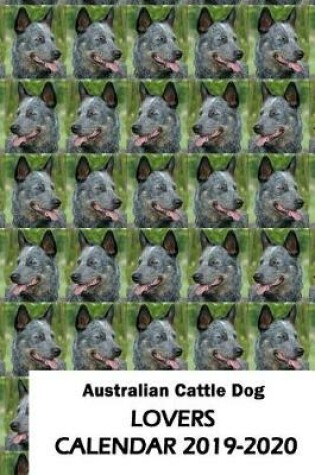 Cover of Australian Cattle Dog Lovers Calendar 2019-2020