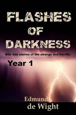 Cover of Flashes of Darknes - Year 1