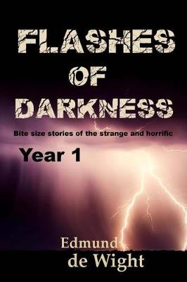 Cover of Flashes of Darknes - Year 1