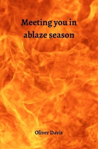 Cover of Meeting you in ablaze season