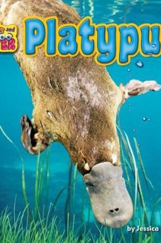 Cover of Platypus