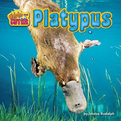 Book cover for Platypus