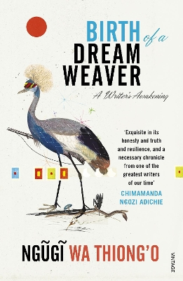 Book cover for Birth of a Dream Weaver