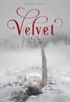 Book cover for Velvet