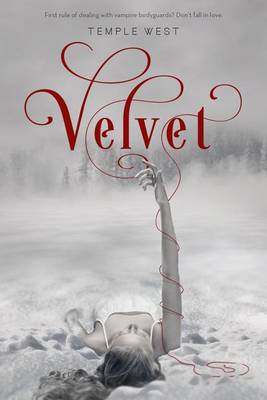 Book cover for Velvet