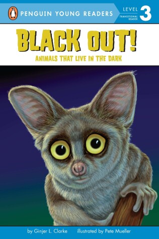 Book cover for Black Out!: Animals That Live in the Dark