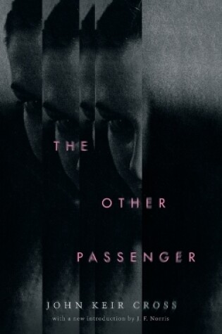 Cover of The Other Passenger