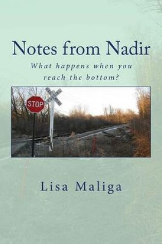 Cover of Notes from Nadir