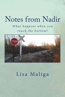 Book cover for Notes from Nadir